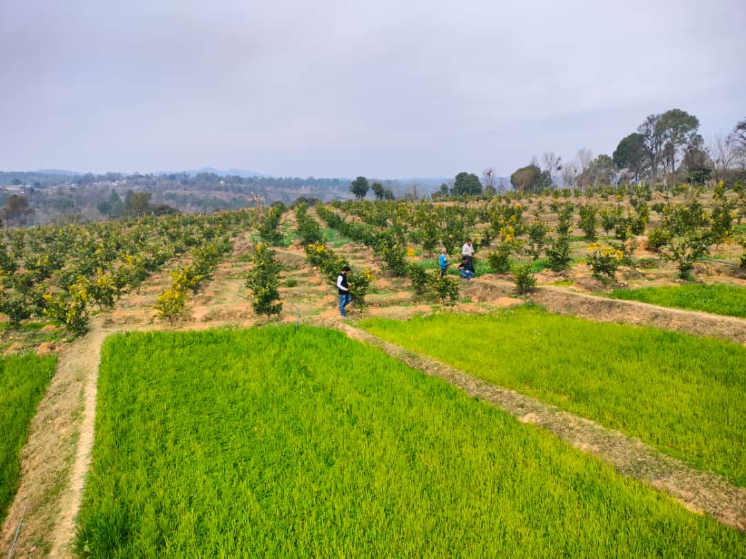 एडीबी और भारत ने हिमाचल प्रदेश में बागवानी को बढ़ावा देने के लिए 130 मिलियन डॉलर के ऋण समझौते पर हस्ताक्षर किए