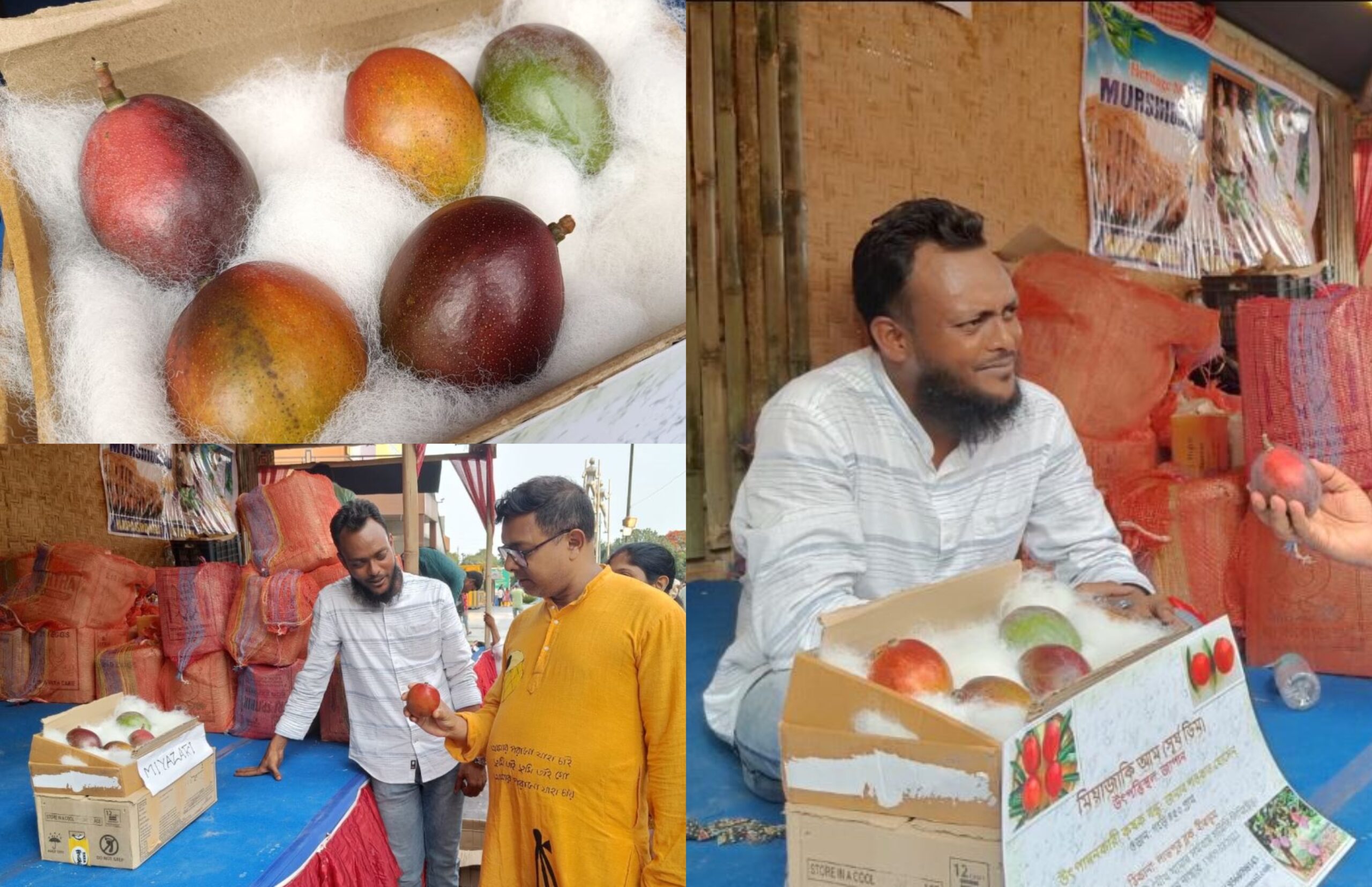 दुनिया का सबसे महंगा आम, कीमत एक लाख रुपये प्रति किलो