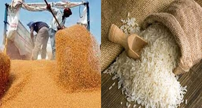 2023-24 की 5वीं ई-नीलामी में 1.06 एलएमटी गेहूं और 100 मीट्रिक टन चावल बेचा गया