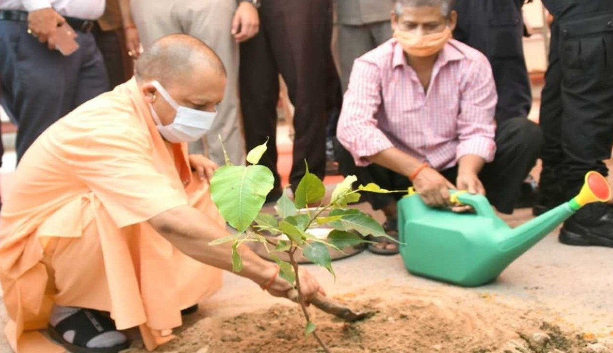 पेड़ लगाओ, पेड़ बचाओ : उत्तर प्रदेश में 22 जुलाई को वन महोत्सव, 35 करोड़ पेड़ लगाने का लक्ष्य