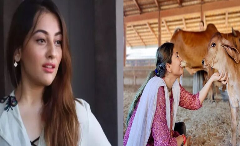 कई साल घिसीं ऐड़ियां और बन गईं टीवी की क्वीन, लेकिन कृष्ण से हुई मोहब्बत तो ठुकरा दिया चमकता करियर, अब करती हैं केवल भक्ति