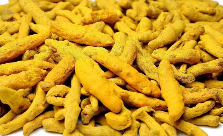 भारत हल्दी का सबसे बड़ा उत्पादक, उपभोक्ता और निर्यातक, जानें हल्दी बोर्ड क क्या होगा काम