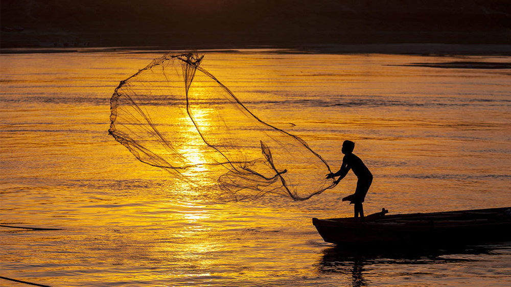 पिछले 9 वर्षों में देश के इनलैंड फिशरीज सेक्टर में हुई तीन गुना वृद्धि