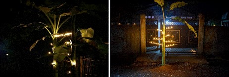 असम की अनोखी पहल : पारंपरिक स्वच्छ दिवाली दिखाएगी ‘वेस्ट टु वेल्थ’ की राह