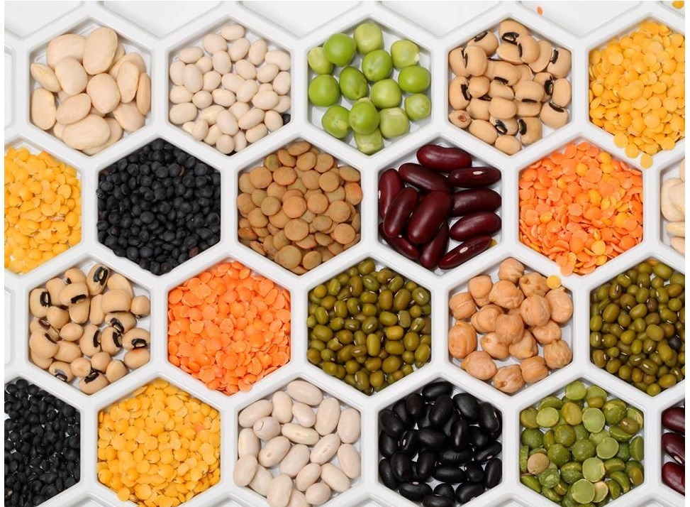 10 वर्षों में दालों का उत्पादन 60 प्रतिशत बढ़ा, केंद्रीय मंत्री पीयूष गोयल ने कहा-किसान देश को बना रहे आत्मनिर्भर