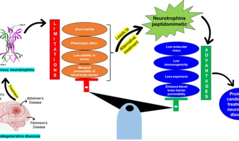 भारतीय वैज्ञानिकों ने न्यूरोडीजेनेरेटिव विकारों के इलाज के लिए संभावित दवाएं खोजी