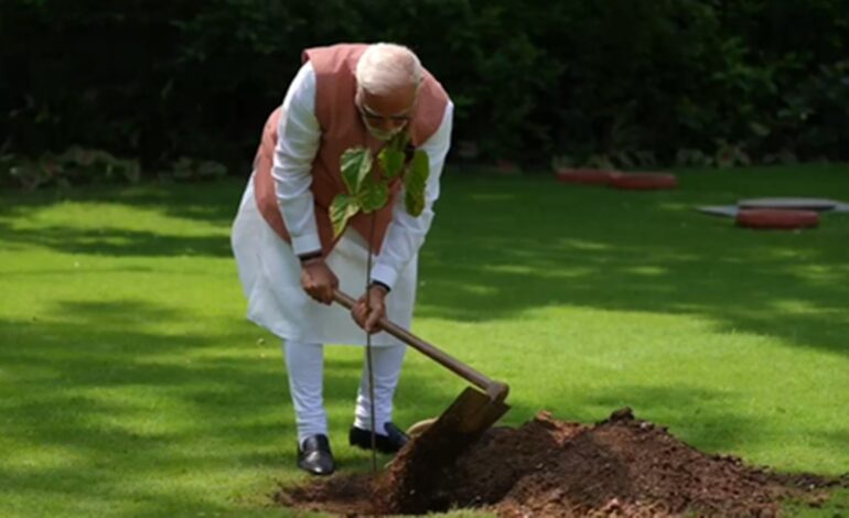 पीएम मोदी ने किया सिंदूर के पौधे का रोपण, कहा-नारी शक्ति और शौर्य का प्रतीक है यह उपहार