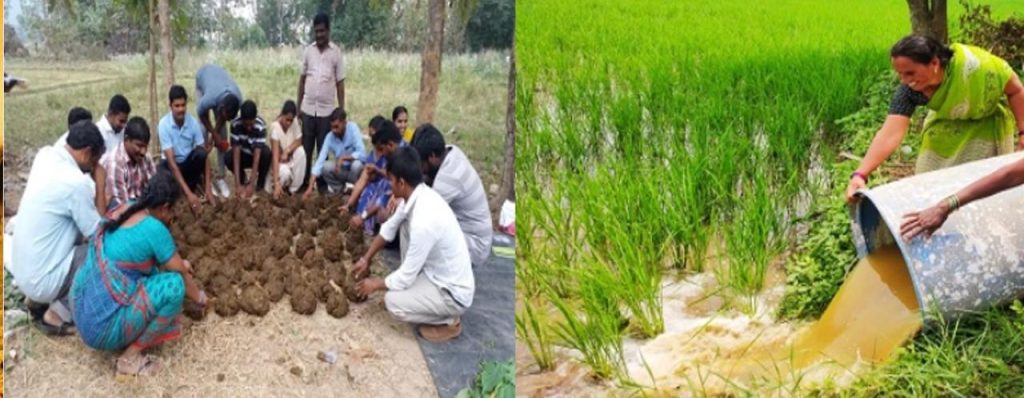 राष्ट्रीय प्राकृतिक खेती मिशन में जुलाई 2025 तक 10 लाख से अधिक किसानों का किया गया नामांकन: केंद्र