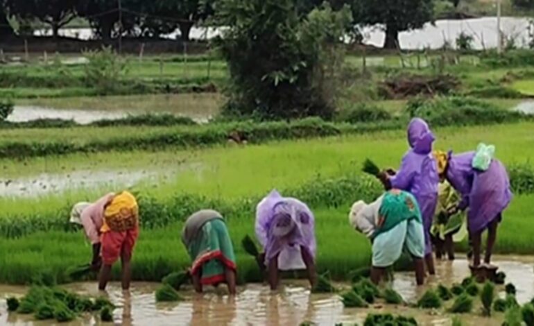 सम्मान निधि से किसानों के चेहरे खिले, बोले- योजना से मिली बड़ी राहत