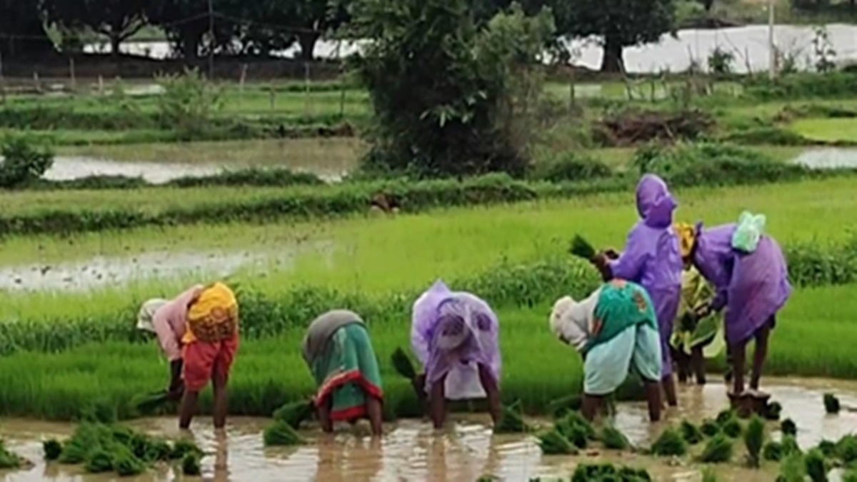 सम्मान निधि से किसानों के चेहरे खिले, बोले- योजना से मिली बड़ी राहत