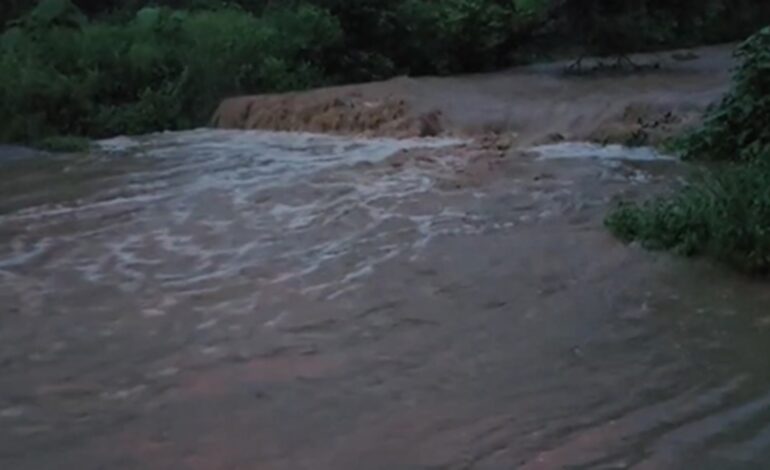 उत्तराखंड : रामनगर में मूसलाधार बारिश से जनजीवन ठप, उफान पर नदी-नाले, प्रशासन अलर्ट