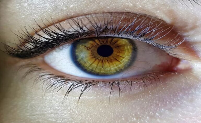 नेत्रदान: आपके जाने के बाद भी, दुनिया देखेगी आपकी आंखों से