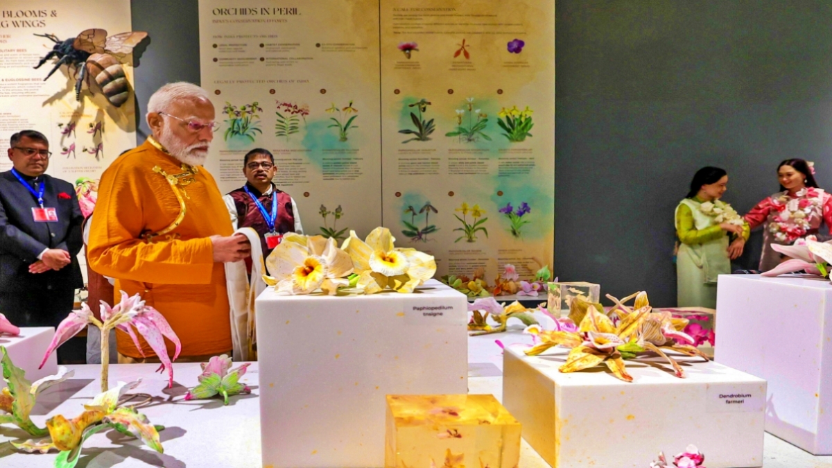 सिक्किम राज्योत्सव में पीएम मोदी, बोले—पूर्वोत्तर है देश की ‘अष्टलक्ष्मी’