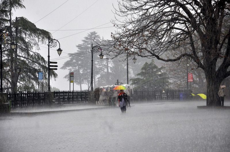 हिमाचल में फिर सक्रिय हुआ मानसून, मंगलवार से भारी से बहुत भारी बारिश का अलर्ट
